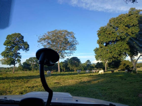 Imagem Chácara à Venda, 35 m² em Arapongas Imagem Chácara à Venda, 35 m² em Arapongas