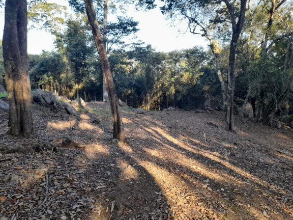 Imagem Chácara à Venda, 5.850 m² em Centro - Ibiúna