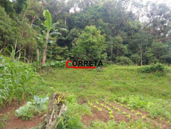 Imagem Chácara com 3 Quartos à Venda, 10 m² em Vargem Do Salto - Ibiúna Imagem Chácara com 3 Quartos à Venda, 10 m² em Vargem Do Salto - Ibiúna