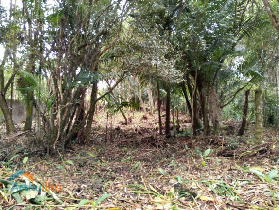 Imagem Imóvel à Venda, 4.000 m² em Itapecerica Da Serra - Itapecerica Da Serra Imagem Imóvel à Venda, 4.000 m² em Itapecerica Da Serra - Itapecerica Da Serra