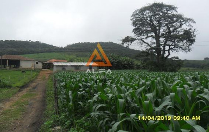 Imagem Fazenda à Venda, 214 m² Imagem Fazenda à Venda, 214 m²
