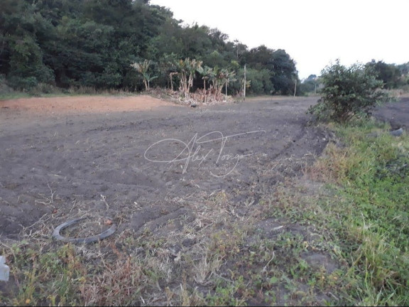 Imagem Terreno à Venda, 75.000 m² em Nova Campo Grande - Cariacica