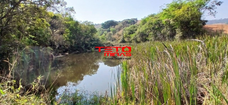 Imagem Imóvel com 4 Quartos à Venda,  em Zona Rural - Conceição Do Rio Verde