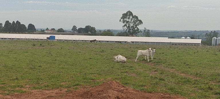 Imagem Chácara com 3 Quartos à Venda, 774 m² em Zona Rural - Alambari Imagem Chácara com 3 Quartos à Venda, 774 m² em Zona Rural - Alambari