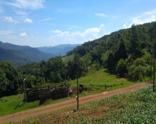 Imagem Imóvel com 3 Quartos à Venda, 238 m² em Santa Inês - Nova Petrópolis Imagem Imóvel com 3 Quartos à Venda, 238 m² em Santa Inês - Nova Petrópolis