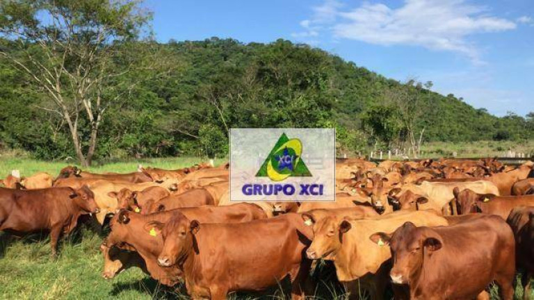 Fazenda à Venda, 17.700.000 m² em Zona Rural - Santana Do Araguaia