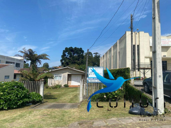 Imagem Casa com 3 Quartos à Venda, 693 m² em Centro - Tijucas Do Sul Imagem Casa com 3 Quartos à Venda, 693 m² em Centro - Tijucas Do Sul