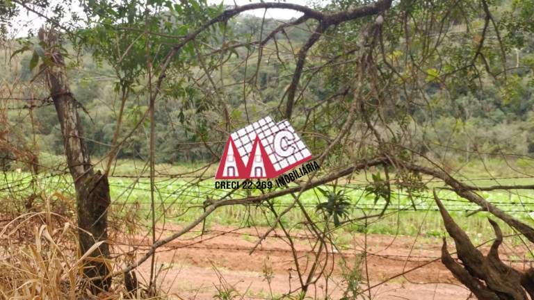 Imagem Imóvel com 3 Quartos à Venda, 968.000 m² em Pilar Do Sul - Pilar Do Sul Imagem Imóvel com 3 Quartos à Venda, 968.000 m² em Pilar Do Sul - Pilar Do Sul