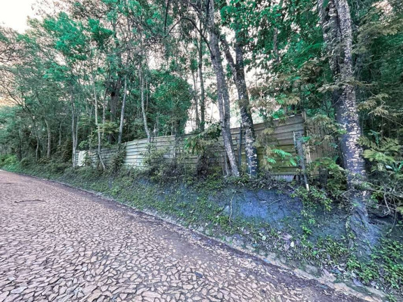 Imagem Terreno à Venda,  em Jardim Colibri - Cotia