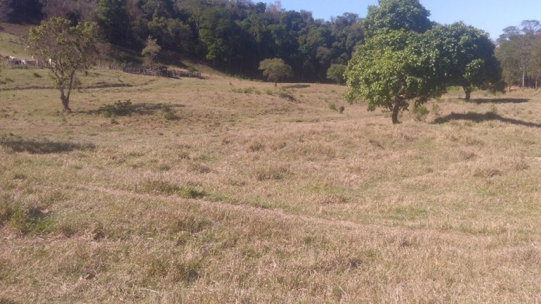 Imagem Fazenda à Venda, 100 m² em Vila Rica - Cunha Imagem Fazenda à Venda, 100 m² em Vila Rica - Cunha