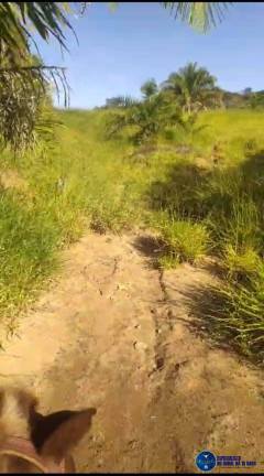 Imagem Chácara à Venda, 14 m² em Zona Rural - Itapuranga Imagem Chácara à Venda, 14 m² em Zona Rural - Itapuranga