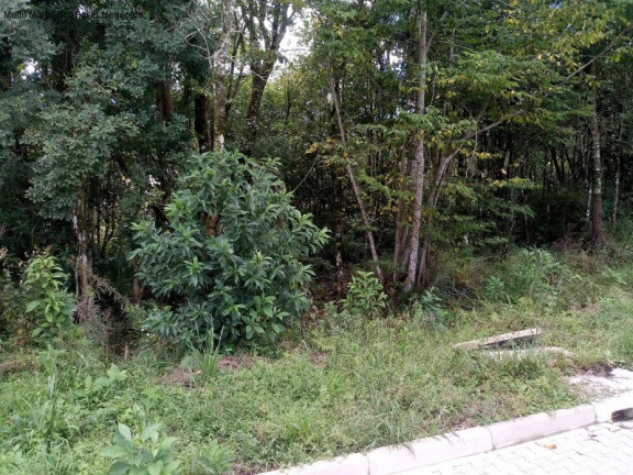 Imagem Terreno à Venda, 370 m² em Linha Imperial - Nova Petrópolis Imagem Terreno à Venda, 370 m² em Linha Imperial - Nova Petrópolis