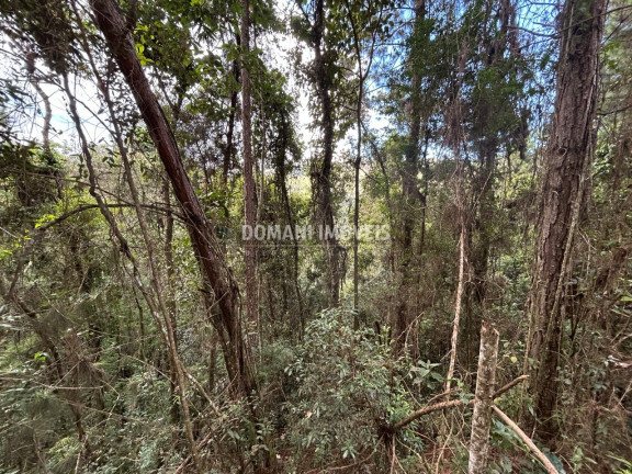 Imagem Terreno à Venda, 5.820 m² em Região Do Parque Da água Santa - Campos Do Jordão Imagem Terreno à Venda, 5.820 m² em Região Do Parque Da água Santa - Campos Do Jordão