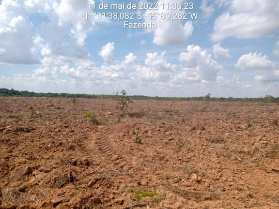 Imagem Fazenda à Venda, 3.600 m² em Nova Brasilândia Imagem Fazenda à Venda, 3.600 m² em Nova Brasilândia
