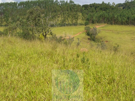 Imagem Imóvel com 3 Quartos à Venda, 302.500 m² em Zona Rural - Jacui