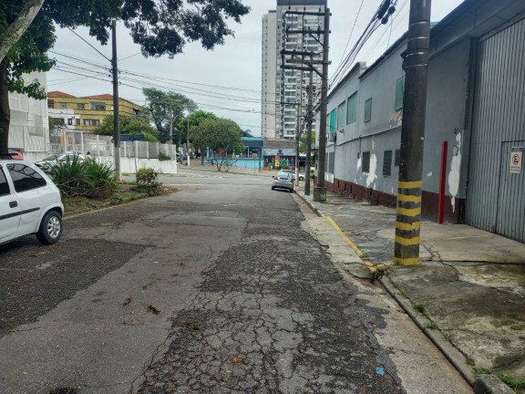 Imagem Terreno para Alugar, 400 m² em Vila Progredior - São Paulo Imagem Terreno para Alugar, 400 m² em Vila Progredior - São Paulo