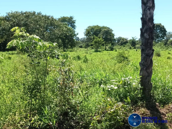 Imagem Fazenda à Venda, 200 m² em Zona Rural - Uirapuru Imagem Fazenda à Venda, 200 m² em Zona Rural - Uirapuru