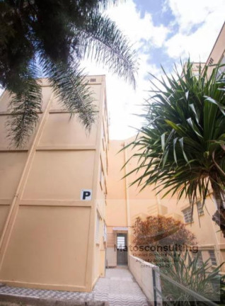 Imagem Apartamento com 2 Quartos para Alugar, 58 m² em Parque Residencial Vila União - Campinas Imagem Apartamento com 2 Quartos para Alugar, 58 m² em Parque Residencial Vila União - Campinas
