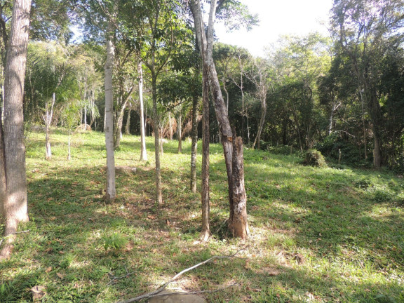Imagem Terreno à Venda, 20.000 m² em Macacu - Garopaba Imagem Terreno à Venda, 20.000 m² em Macacu - Garopaba