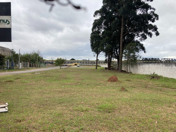 Imagem Imóvel para Alugar, 1.000 m² em Vila Amorim - Suzano Imagem Imóvel para Alugar, 1.000 m² em Vila Amorim - Suzano