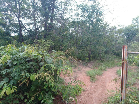 Imagem Chácara à Venda, 5 m² em Estância Itaici - Caldas Novas Imagem Chácara à Venda, 5 m² em Estância Itaici - Caldas Novas