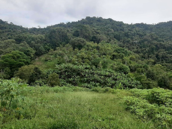 Imagem Chácara com 3 Quartos à Venda, 250 m² em Pouso Alto - Natividade Da Serra Imagem Chácara com 3 Quartos à Venda, 250 m² em Pouso Alto - Natividade Da Serra