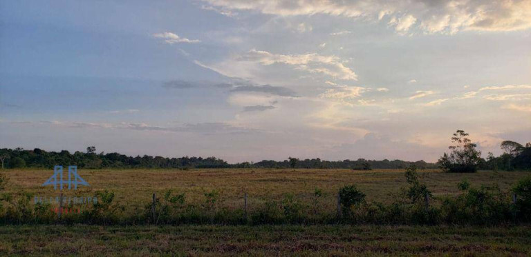 Imagem Fazenda à Venda, 2.190.000 m² em Alça Viaria - Acará Imagem Fazenda à Venda, 2.190.000 m² em Alça Viaria - Acará