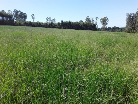 Imagem Chácara à Venda, 15 m² em Area Rural De Avaré - Avaré