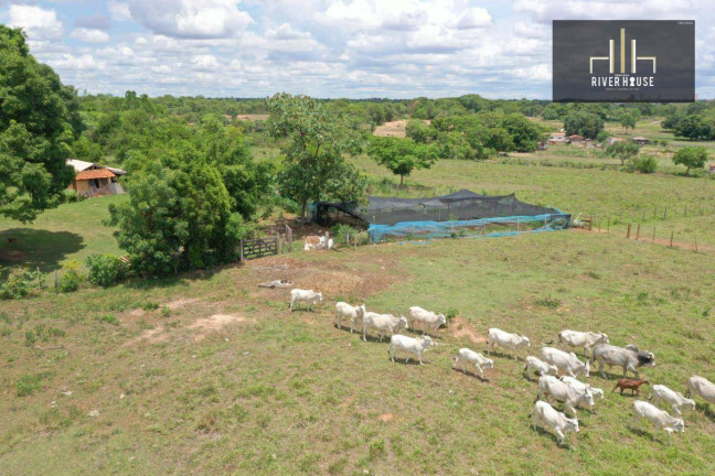 Imagem Chácara com 3 Quartos à Venda, 800 m² em Capela Do Piçarrão - Várzea Grande Imagem Chácara com 3 Quartos à Venda, 800 m² em Capela Do Piçarrão - Várzea Grande