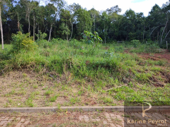 Terreno à Venda, 300 m² em Campestre - São Leopoldo