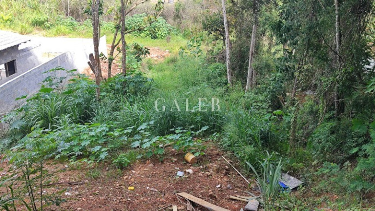 Imagem Terreno à Venda, 500 m² em Jardim Estância Brasil - Atibaia Imagem Terreno à Venda, 500 m² em Jardim Estância Brasil - Atibaia