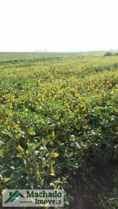 Imagem Imóvel à Venda, em Rural - Tupanciretã Imagem Imóvel à Venda, em Rural - Tupanciretã