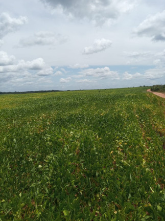 Imagem Imóvel à Venda,  em Colinas Do Tocantins/to - Colinas Do Tocantins