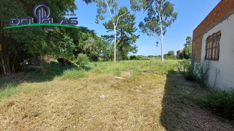 Imagem Casa à Venda, em Viamão Imagem Casa à Venda, em Viamão