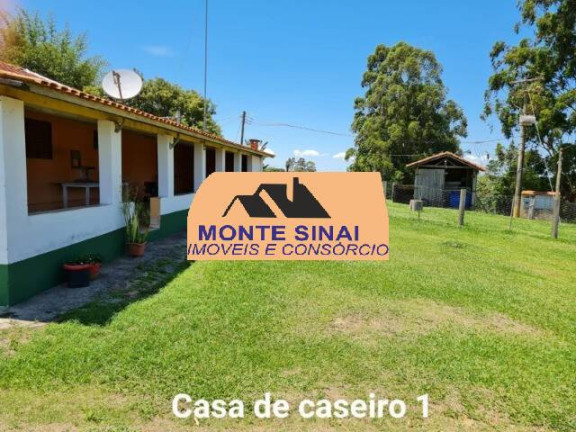 Imagem Chácara com 5 Quartos à Venda, 10 m² em Jardim Marabá - Itapetininga Imagem Chácara com 5 Quartos à Venda, 10 m² em Jardim Marabá - Itapetininga