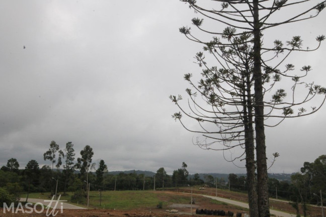 Imagem Terreno à Venda, 670 m² em Linha ávila Alta - Gramado Imagem Terreno à Venda, 670 m² em Linha ávila Alta - Gramado