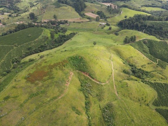 Imagem Fazenda à Venda, 4.300.000 m² em Zona Rural - Poços De Caldas Imagem Fazenda à Venda, 4.300.000 m² em Zona Rural - Poços De Caldas