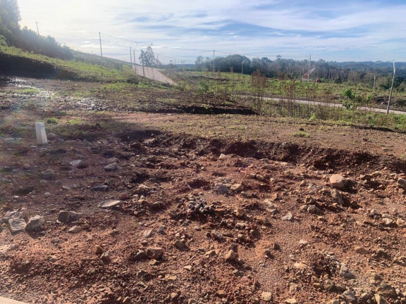 Imagem Terreno à Venda, 293 m² em Sao Roque - Bento Gonçalves