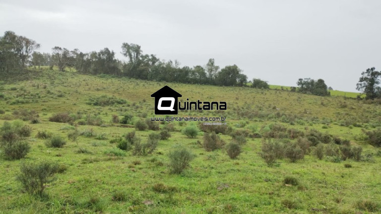 Imagem Imóvel com 2 Quartos à Venda, 600.000 m² em 5º Distrito - Canguçu Imagem Imóvel com 2 Quartos à Venda, 600.000 m² em 5º Distrito - Canguçu