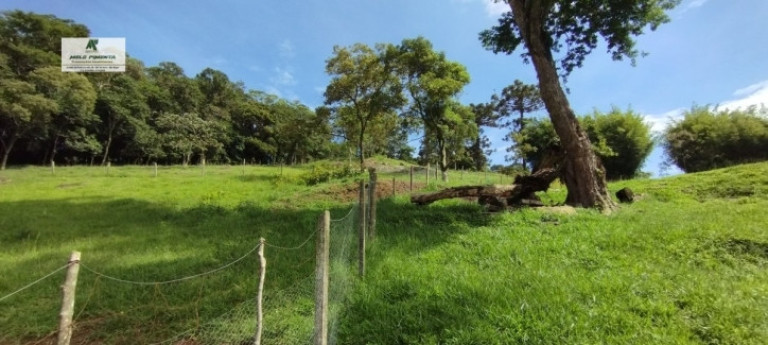 Imagem Chácara com 3 Quartos à Venda, 20.000 m² em Sorocamirim (canguera) - São Roque Imagem Chácara com 3 Quartos à Venda, 20.000 m² em Sorocamirim (canguera) - São Roque