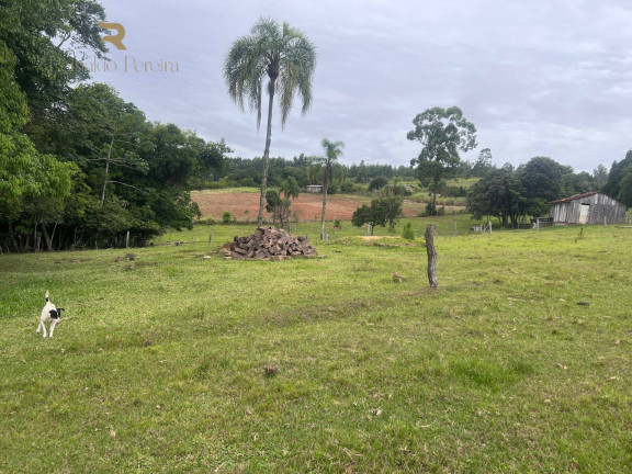 Imagem Chácara com 2 Quartos à Venda, 32.000 m² em Fazenda Fialho - Taquara Imagem Chácara com 2 Quartos à Venda, 32.000 m² em Fazenda Fialho - Taquara