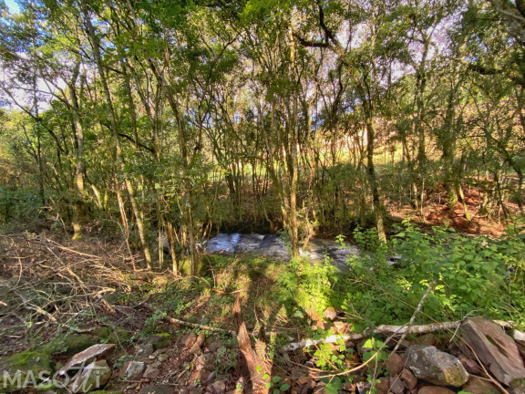 Imagem Chácara com 4 Quartos à Venda, 120.000 m² em Centro - Santa Maria Do Herval Imagem Chácara com 4 Quartos à Venda, 120.000 m² em Centro - Santa Maria Do Herval