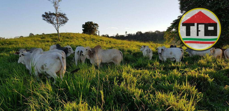 Imagem Fazenda à Venda, 17.085.200 m² em Zona Rural - Itupiranga Imagem Fazenda à Venda, 17.085.200 m² em Zona Rural - Itupiranga