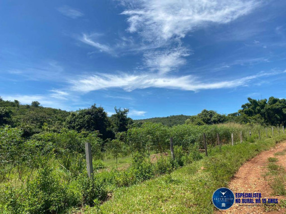 Imagem Chácara à Venda, 10 m² em Zona Rural - Pontalina Imagem Chácara à Venda, 10 m² em Zona Rural - Pontalina