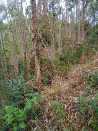Imagem Terreno à Venda, 1 m² em Parque Santo Antônio - Jacareí Imagem Terreno à Venda, 1 m² em Parque Santo Antônio - Jacareí