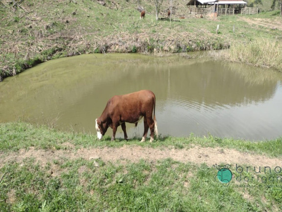 Imagem Imóvel com 3 Quartos à Venda, 250.000 m² em Zona Rural - Bom Retiro Imagem Imóvel com 3 Quartos à Venda, 250.000 m² em Zona Rural - Bom Retiro