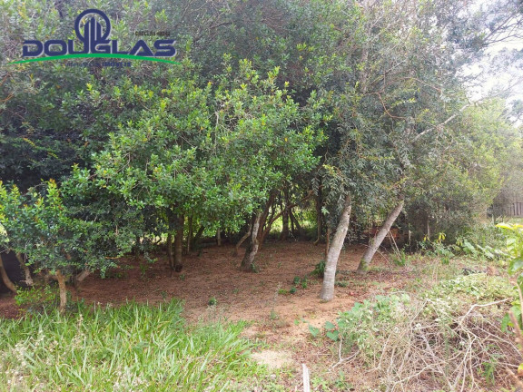 Imagem Casa à Venda, 530 m² em Viamão