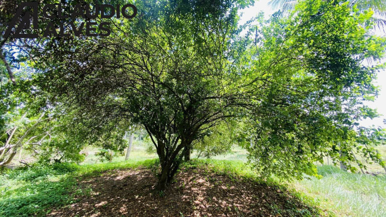 Imagem Terreno à Venda, 2 m² em Chaparral - Feira De Santana