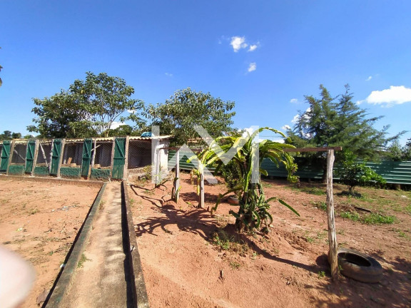 Imagem Fazenda à Venda, 1.000 m² em área Rural De Três Corações - Três Corações Imagem Fazenda à Venda, 1.000 m² em área Rural De Três Corações - Três Corações