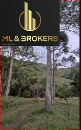 Imagem Imóvel com 2 Quartos à Venda, 24.000 m² em Pinhalzinho - Adrianopolis Imagem Imóvel com 2 Quartos à Venda, 24.000 m² em Pinhalzinho - Adrianopolis